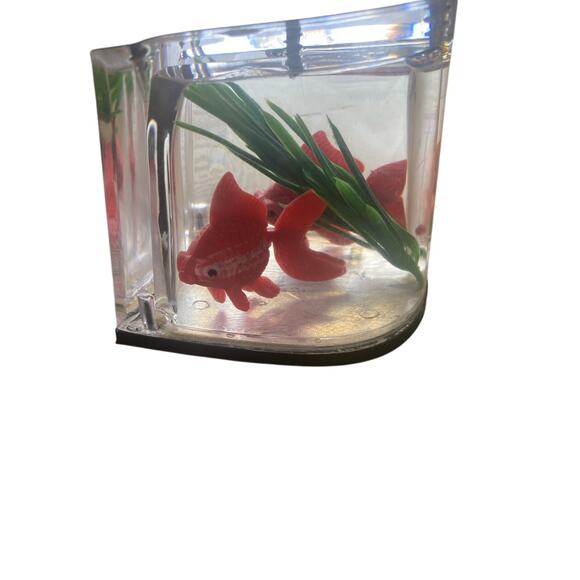 Disco Shoes Pleaser Funtasma Floating Fish Heels Oxfords Adult Large FLAWS - Picture 4 of 10